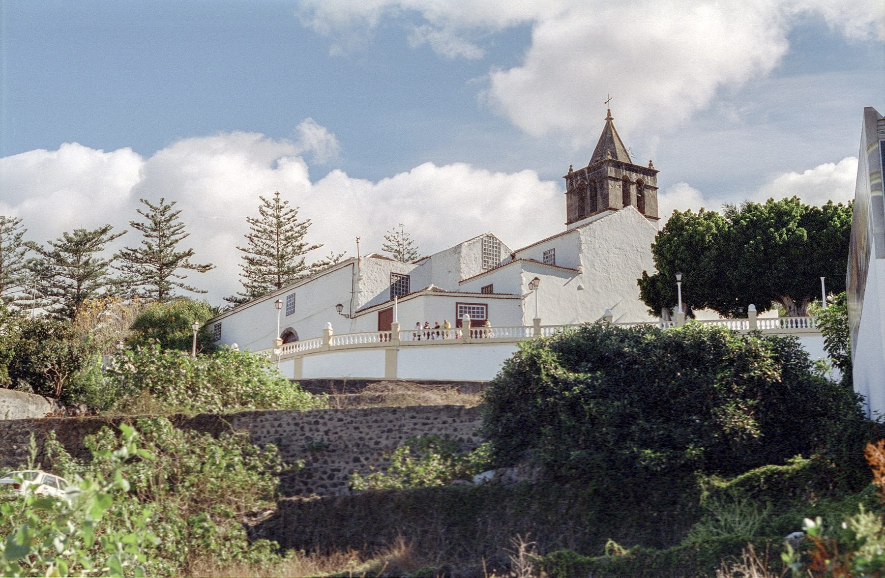 Iglesia de San Marcos de Icod de los Vinos, encalada y con su torre, entre araucarias