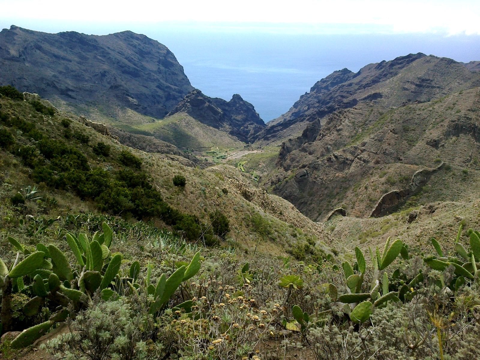 Barranco del Parque Rural de Teno visto desde el mirador de los Altos de Baracán